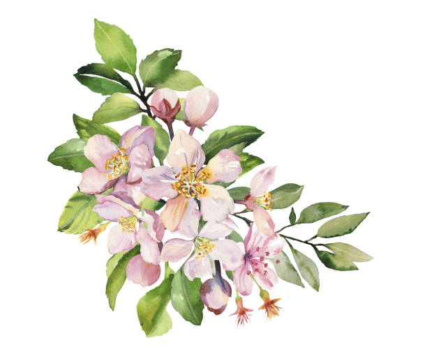 istock Watercolor spring sakura pink flowers and leaves branch 1852738906