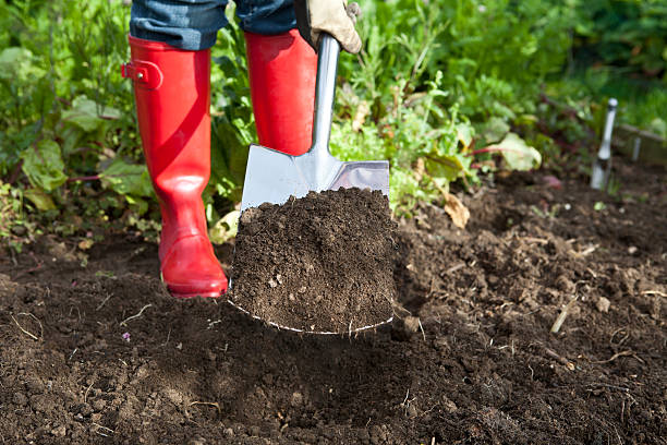 istock Spade Full of Organic Soil 185274055