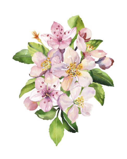 istock Watercolor spring sakura pink flowers and leaves branch 1852743709