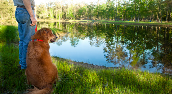 Texas lake.  Senior man and dog in foreground.  Reflection seen in water.