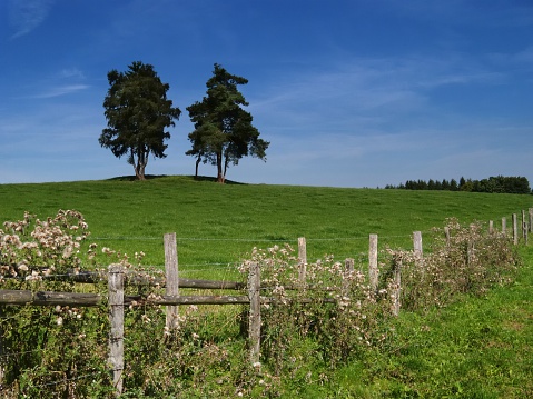 Landscape in the hills of the Ardennes region in Belgium on a beautiful summer day.