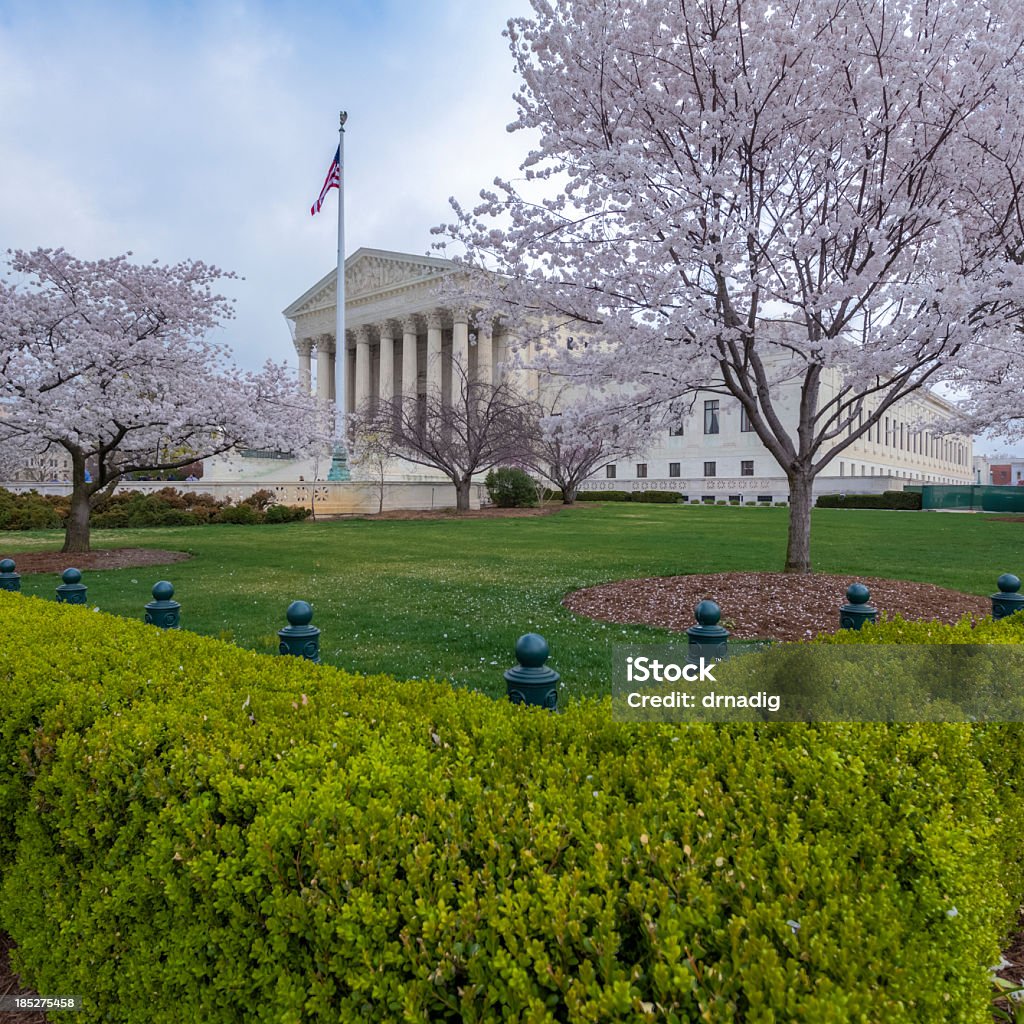 U.S.  Supremo tribunal com flores de Cereja - Royalty-free Ao Ar Livre Foto de stock