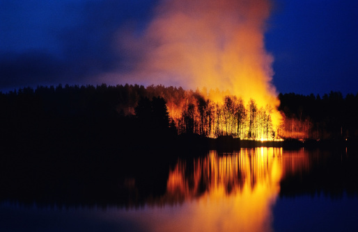 Night scene of forest fire with trees in silhouette and relection in lake. Scanned from film.