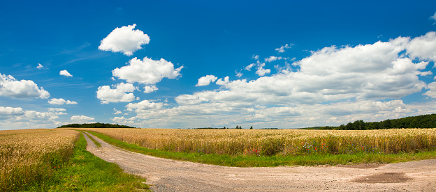 Natural natural area on a sunny day