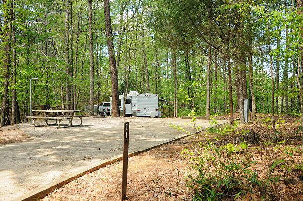 istock Travel trailer in wooded campground 185276701