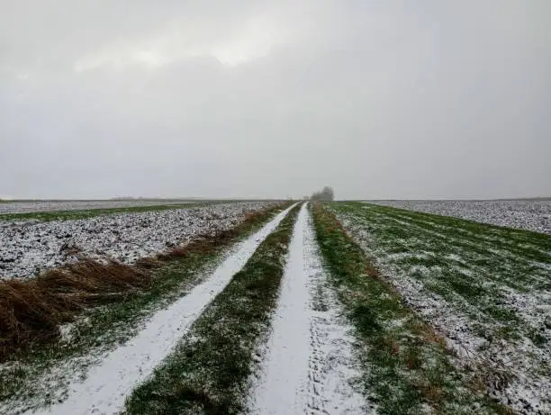A snow-covered two-track country road stretches across the fields. The first snow fell on the field road.