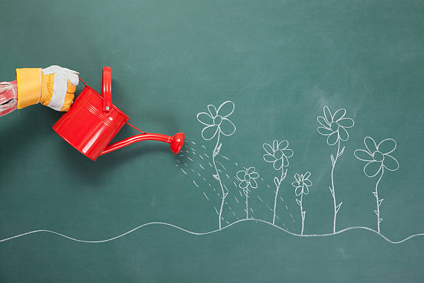 istock Watering Can In Human Hand And Flowers Drawings On Blackboard 185277056