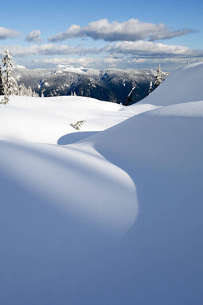 mt. seymour neige s-curve - mt seymour provincial park photos et images de collection