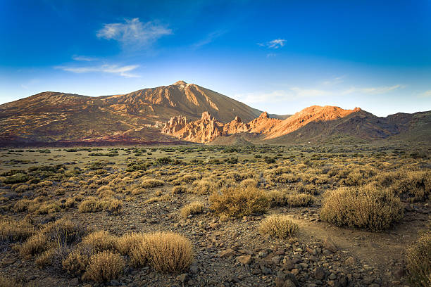 wild valley en parque nacional de taide, islas canarias - pico de teide fotografías e imágenes de stock