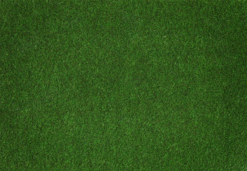 Grass Pattern Pictures | Download Free Images on Unsplash