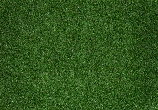 Grass A clump of synthetic grass grass family stock pictures, royalty-free photos & images