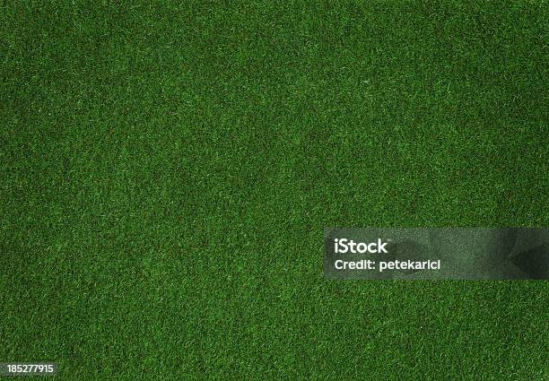 Grass Stock Photo - Download Image Now - Grass, Textured, Textured Effect
