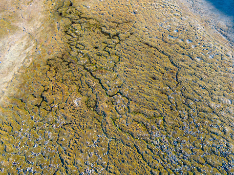 Overhead aerial drone view of the semi arid ground in Khuites Valley, in the Kazakh Bayan-Olgii region of the Altai Mountains in western Mongolia. The harsh environment is home to nomadic herders who graze their livestock, moving with the seasons.