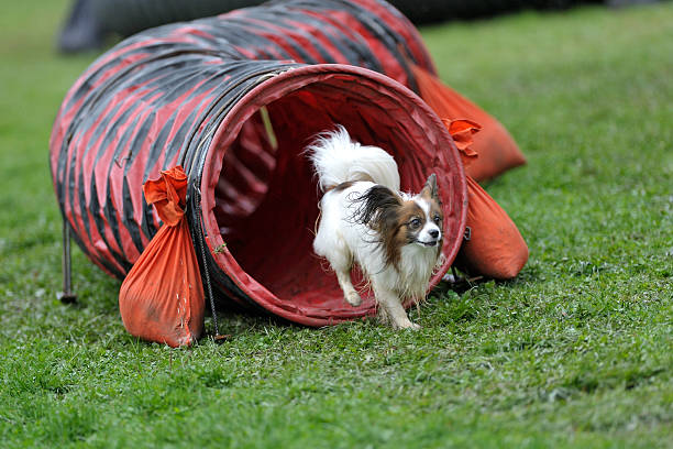istock Out of the tunnel 185278545