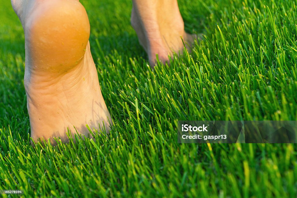 Босиком на зеленой траве - Стоковые фото Босиком роялти-фри