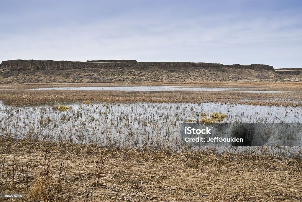 Pothole Marsh und fernen Mesa - Lizenzfrei Ausgedörrt Stock-Foto