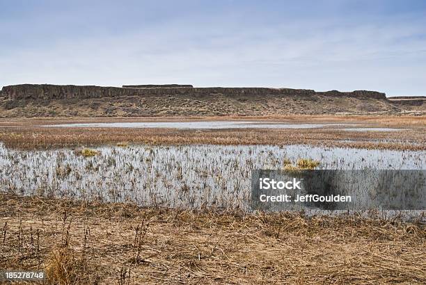 Pothole Marsh Und Fernen Mesa Stockfoto und mehr Bilder von Ausgedörrt - Ausgedörrt, Bundesstaat Washington, Farbbild