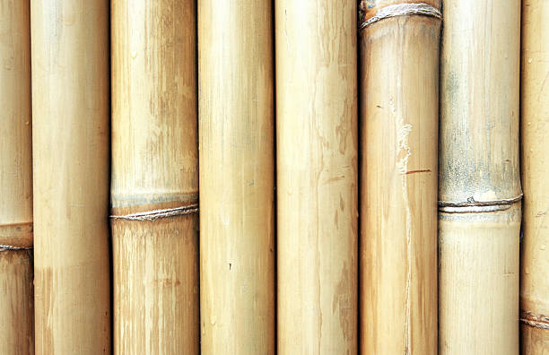 istock Indonesia, Bali, Ubud, bamboo fencing. 185278866