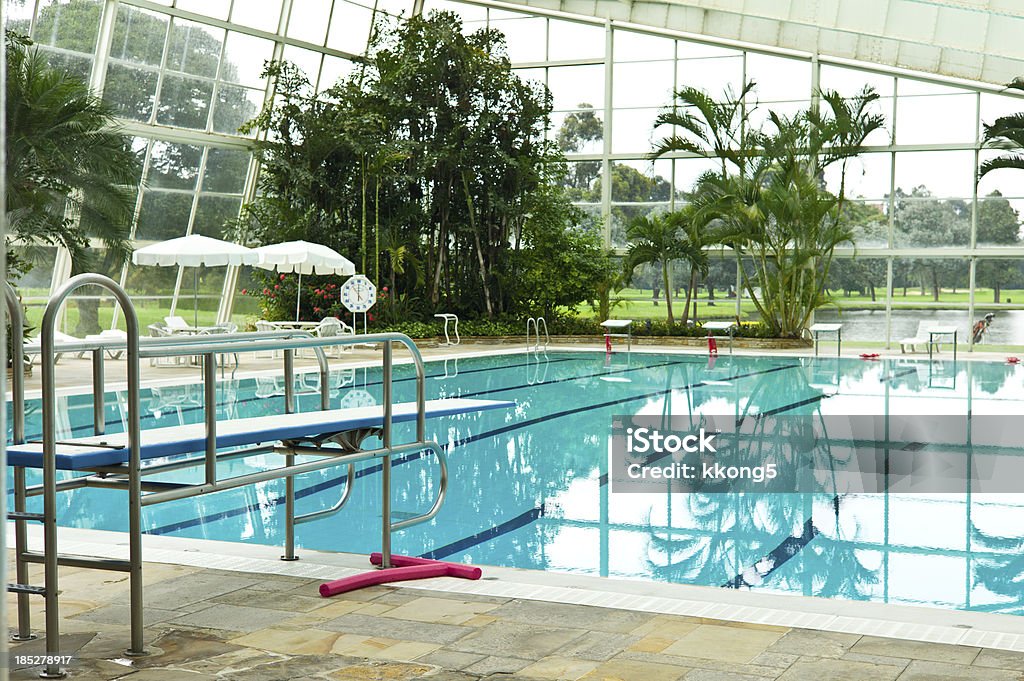 Piscina coperta con vegetazione lussureggiante e luce naturale - Foto stock royalty-free di Serra