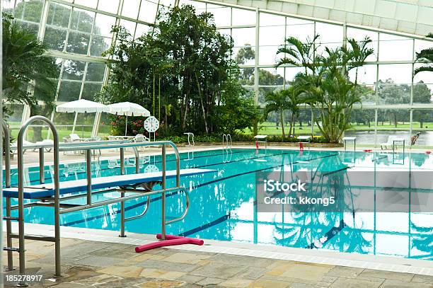 Piscina Coperta Con Vegetazione Lussureggiante E Luce Naturale - Fotografie stock e altre immagini di Serra