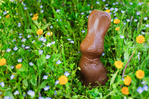 Chocolate easter bunny in spring meadow.Related images: