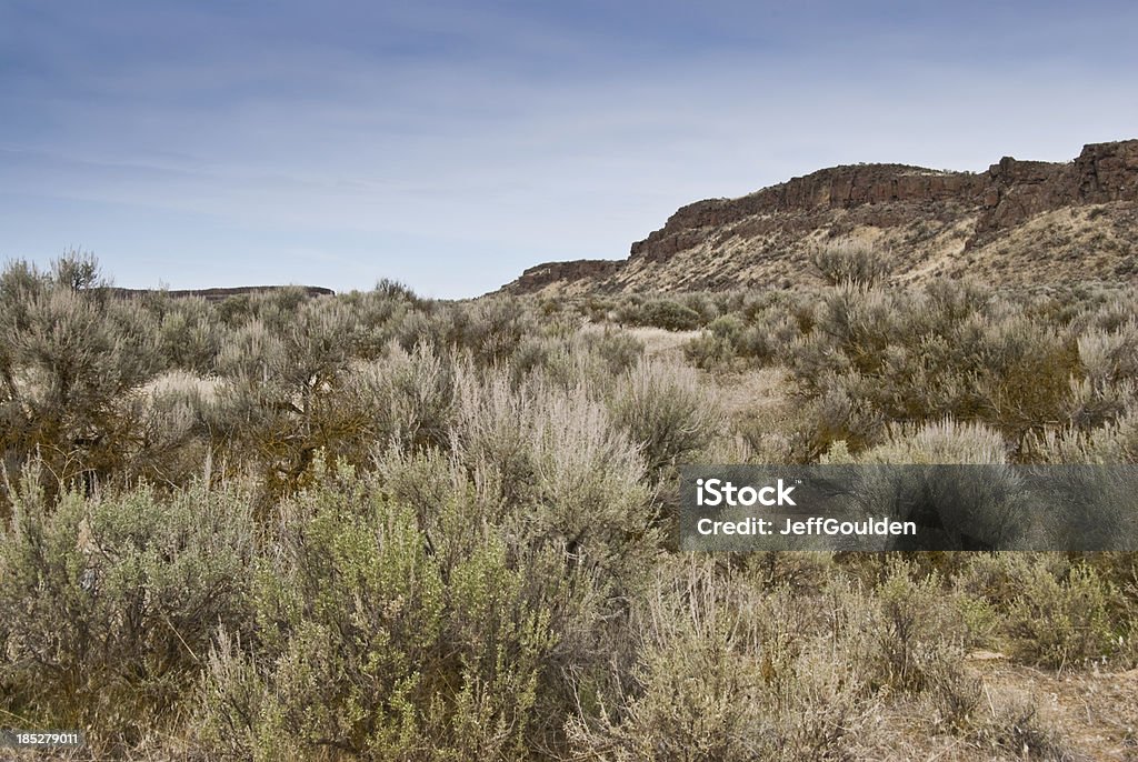 Deserto Artemisia tridentata e colline - Foto stock royalty-free di Acqua
