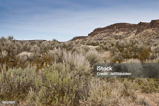 Deserto Artemisia Tridentata E Colline - Fotografie stock e altre immagini di Acqua - Acqua, Ambientazione esterna, America del Nord