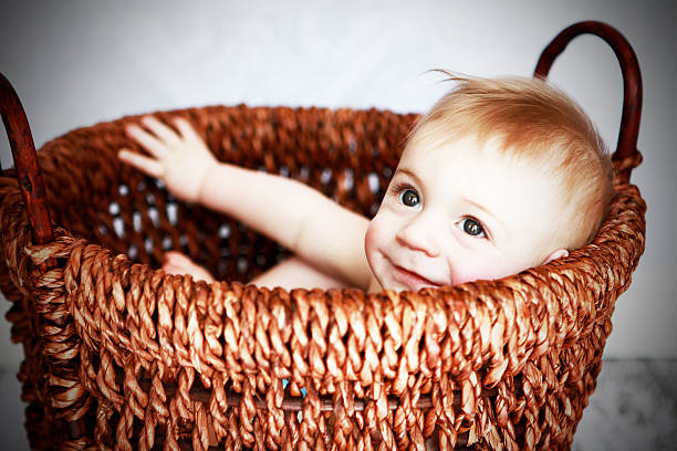 istock Baby in a Basket 185279081