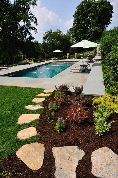 splendida piscina e percorso - fountain landscaped ornamental garden flower bed foto e immagini stock