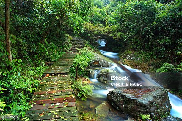 Hongxi River In Primitive Bosque Foto de stock y más banco de imágenes de Agua - Agua, Agua descendente, Belleza de la naturaleza