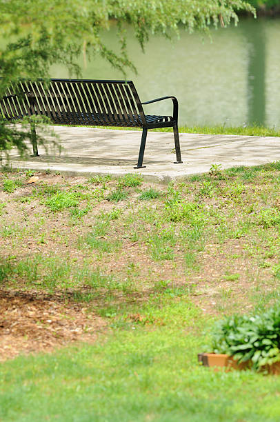 istock Park bench near lake 185279414