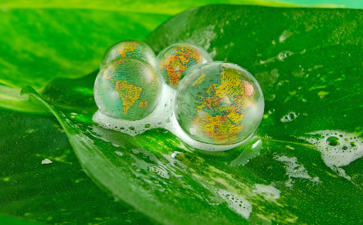 Four drops of water on a leaf with three different small images of the earth , primarily Europe in the liquid. Green leaf background with copy space. Copy space.  The globe was made by Divine and was purchased in a craft store.