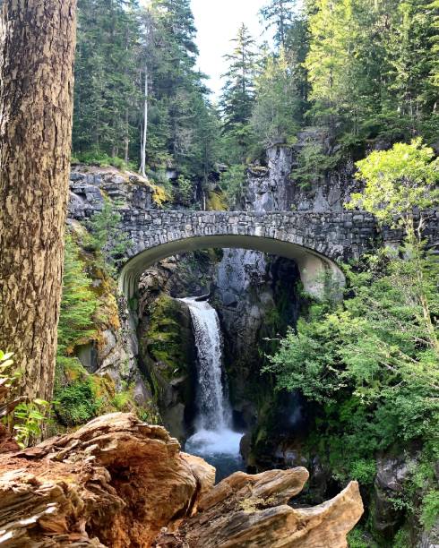 istock waterfall under a bridge in the forest next to rocks and trees 1852796377