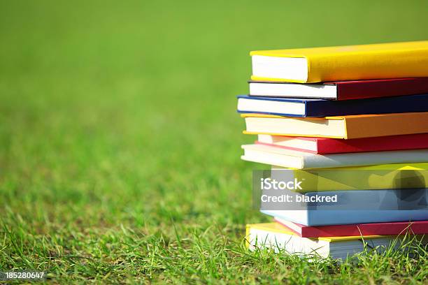 Foto de Educação e mais fotos de stock de Livro - Livro, Verão, Grama