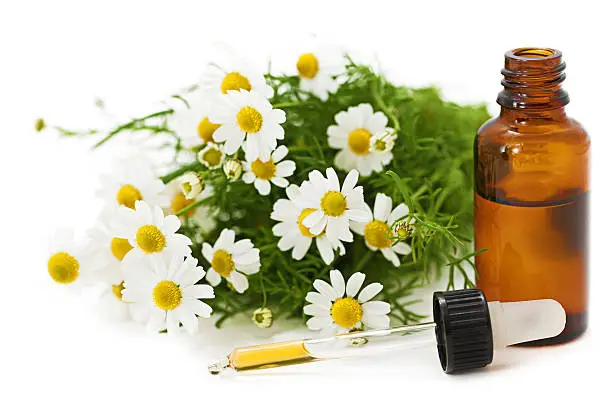 "Chamomile flowers, open glass bottle and pipette with tincture on white background.Related pictures:"