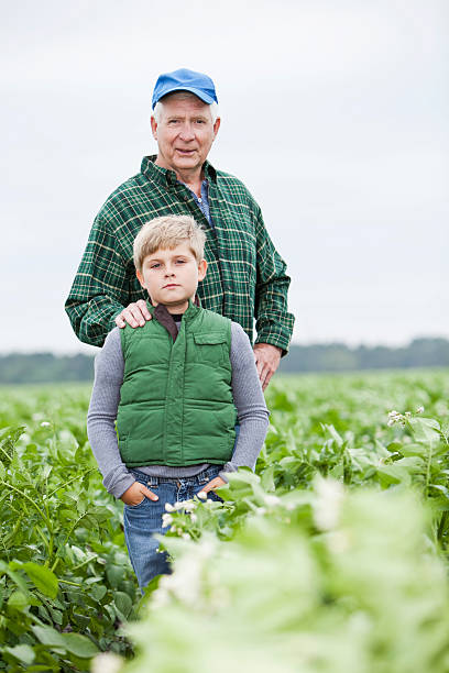 istock Farmer with grandson in field 185280932