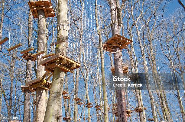 Ropes Course In Einem Wald Stockfoto und mehr Bilder von Seil - Seil, Hoch - Allgemeine Beschaffenheit, Hoch - Position