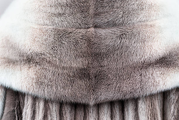 Fur Detail image of genuine fur coat mink fur stock pictures, royalty-free photos & images