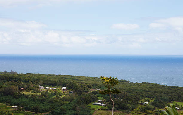 istock Overlooking a small town on Maui Hawaii 185281869