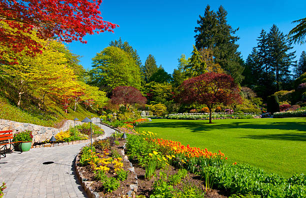 jardin coloré au printemps, butchart - buchart gardens photos et images de collection