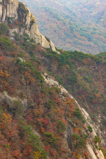 atumn colors at bukhansan national park in seoul, south korea.
