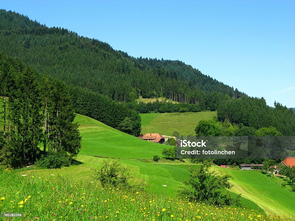 Schwarzwald - Lizenzfrei Schwarzwald Stock-Foto