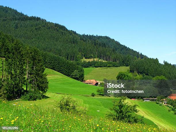 Schwarzwald Stockfoto und mehr Bilder von Schwarzwald - Schwarzwald, Wohnhaus, Agrarbetrieb