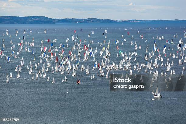 Large Sailing Regatta Stock Photo - Download Image Now - Regatta, Activity, Adriatic Sea