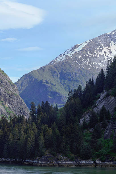 istock Tracy Arm Fjord Shoreline Scene 185283062