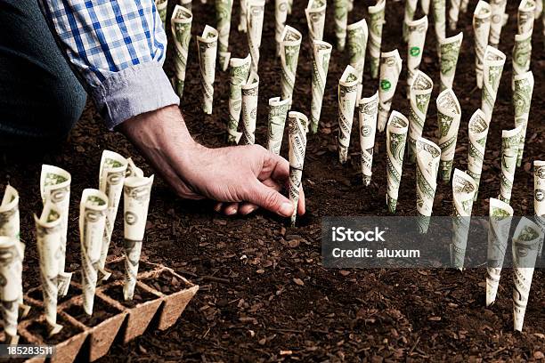 Investment Stock Photo - Download Image Now - Currency, Growth, Wealth