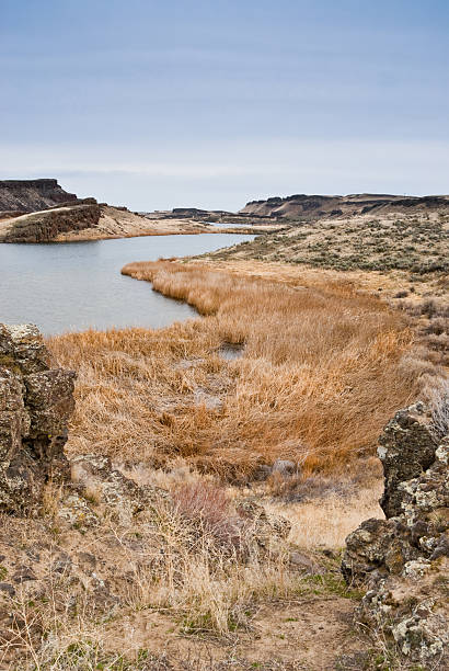 Corral Lake in the Eastern Washington Potholes There are many pothole lakes and ponds in the scablands of Central Washington. Corral Lake is in the Columbia National Wildlife Refuge near Othello, Washington State, USA. jeff goulden national wildlife refuge stock pictures, royalty-free photos & images