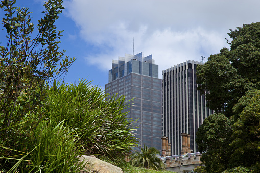 Sydney cityscape seen from the Royal Botanic Garden.
