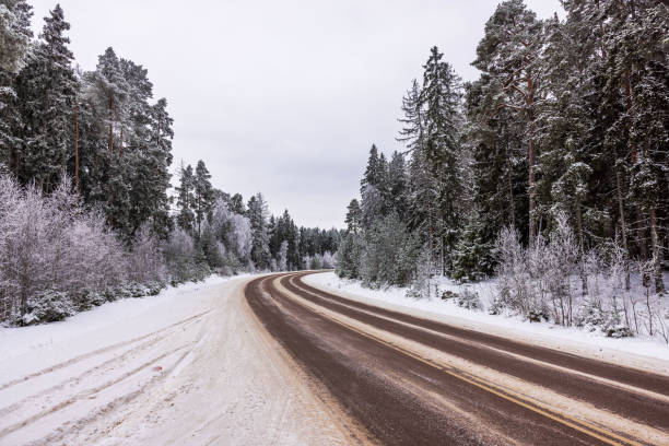 istock Frosty highway cuts through a winter forest, with pine trees draped in snow, under a heavily clouded sky. 1852841003