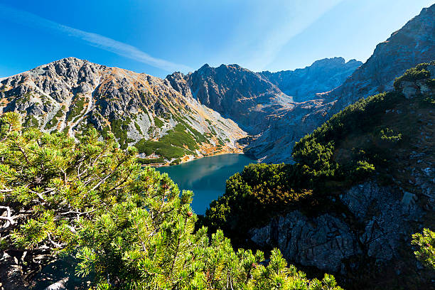 istock Tatra. Black Gas pond 185284287